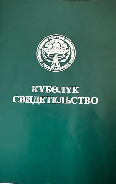 кв кок жар: 77 соток, Для сельского хозяйства, Договор долевого участия — 1