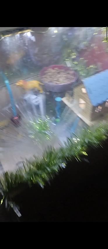 mini led: Məhsul: Dekorativ işıqlı akvarium/teraryum vitrin-kabinəsi Təsvir: - — 2