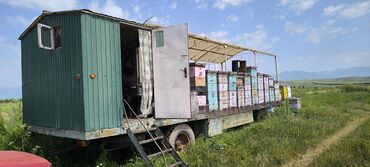 Другая сельхозтехника: Кочевая пасека на прицепе-платформе срочно срочно срочно очень — 2