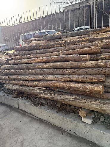 Лес кругляк: Срочно!!! Продается Кругляк(сосна, пихта, тополь и др. породы)длина — 10