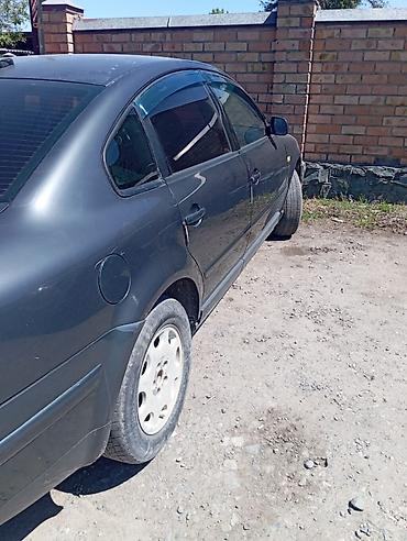 pass: Volkswagen Passat: 1999 г., 2.5 л, Механика, Дизель, Седан — 3