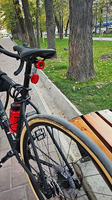 шосейный: Шоссейный велосипед, Trek, Рама L (172 - 185 см), Новый — 4