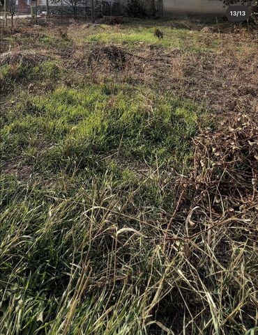 Продажа квартир: 3 комнаты, 65 м², 2 этаж, Евроремонт — 12