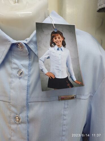 кофта блузка: Школьная форма, цвет - Голубой, Новый