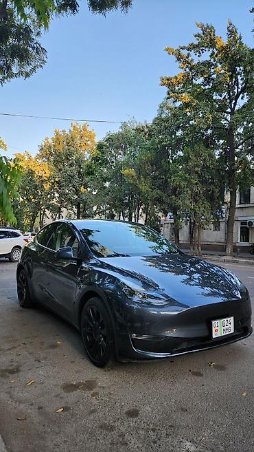эстима левый: Tesla Model Y: 2024 г., Автомат, Электромобиль, Кроссовер — 2