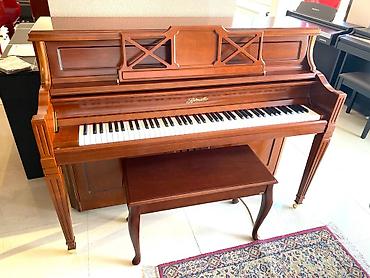 fort salon: Piano, Ritmüller, Akustik, Yeni, Pulsuz çatdırılma — 10