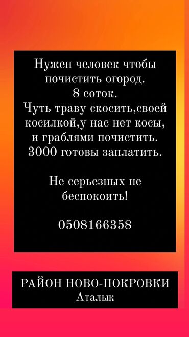 уборка по дому: НУЖЕН ЧЕЛОВЕК,ЧТОБЫ УБРАЛ В ОГОРОДЕ,НЕДОРОГО,КТО ИЩЕТ ПОДРАБОТКУ