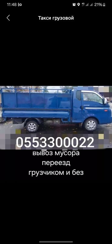 комнатные растения бишкек: Портер, Вывоз бытового мусора, По городу, По стране, По региону, с грузчиком
