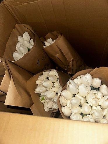 Букеты из живых цветов: В наличии Тюльпаны🌷💐 имеются в ярких и разных цветах . также есть — 12