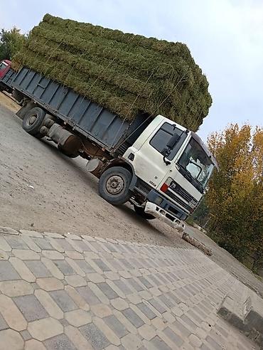 сена тюк: Продаю Клевер Чистый 3 кос — 1