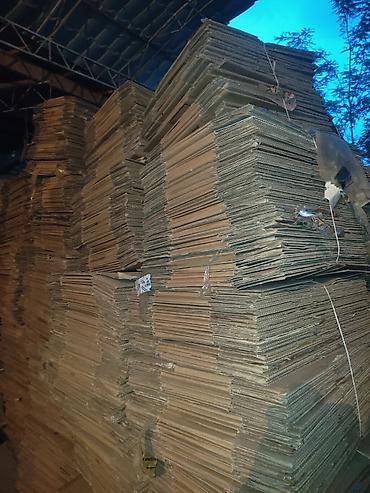 Товары и оборудование для с/х животных: Умут
умут каропки продаем — 3