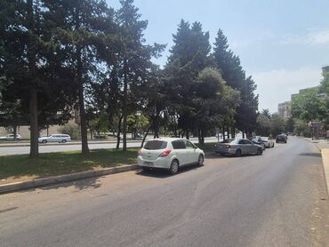 Kommersiya daşınmaz əmlakının satışı: Ekskluziv qiymətə çox əlverişli yerdə dəyərindən çox ucuz hazır — 20