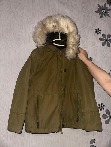 Куртки: Женская куртка Zara, S (EU 36), цвет - Зеленый