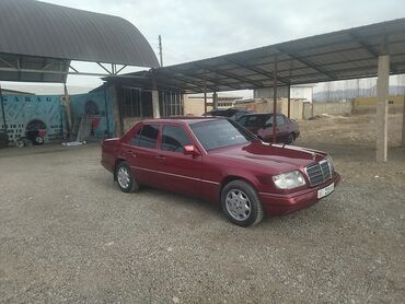 ватсап группа: Mercedes-Benz W124: 1994 г., 2.9 л, Механика, Дизель, Седан