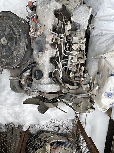 Mercedes-Benz: Mercedes-Benz S-Class: 1981 г., 3 л, Автомат, Дизель, Лимузин — 13