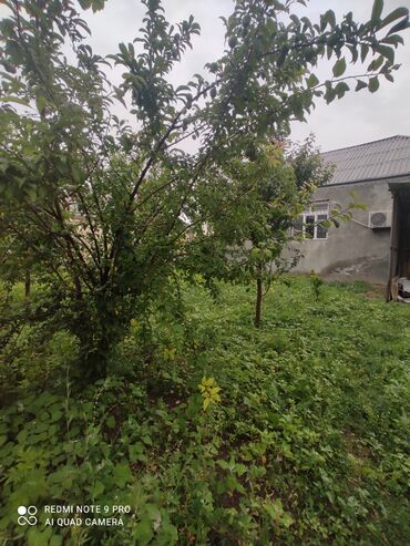 Yeni tikili: 3 otaqlı, Yeni tikili, 400 kv. m -da lalafo.az — 7 Yeni tikili: 3 otaqlı, Yeni tikili, 400 kv. m — 7