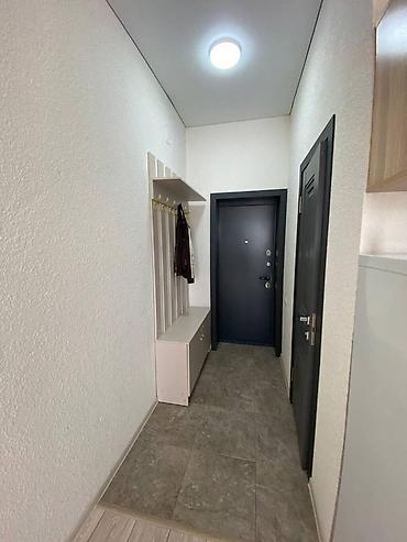 Долгосрочная аренда квартир: 1 комната — 9