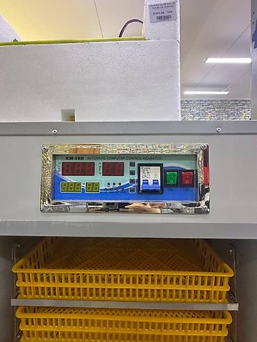 Товары и оборудование для с/х животных: Инкубатор Промышленный 352 жумуртка полынй автомат . Инкубатор 1056 — 3