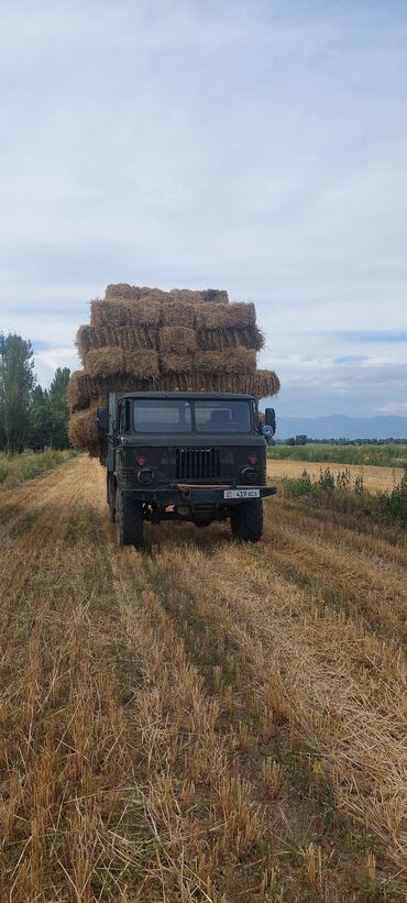 мицубиси спец стар: Жүк ташуучу унаа, Колдонулган