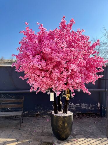 Декоративные цветы: Искусственные деревья и цветы — долговечный и стильный декор без at lalafo.kg — 13 Декоративные цветы: Искусственные деревья и цветы — долговечный и стильный декор без — 13