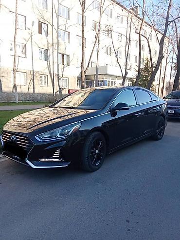 жили машина: Hyundai Sonata: 2018 г., 2.4 л, Автомат, Бензин, Седан — 1