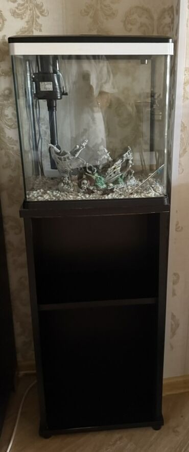 Akvariumlar: Dördbucaq akvarium, Boş, 40 l, Ünvandan götürmə