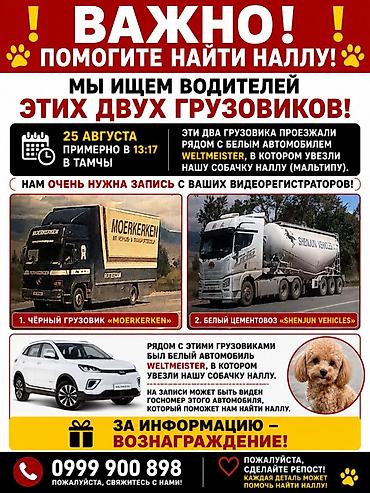 Бюро находок: Помогите найти нашу СОБАЧКУ!! 🙏🏻 Нужна запись с видеорегистраторов — 1