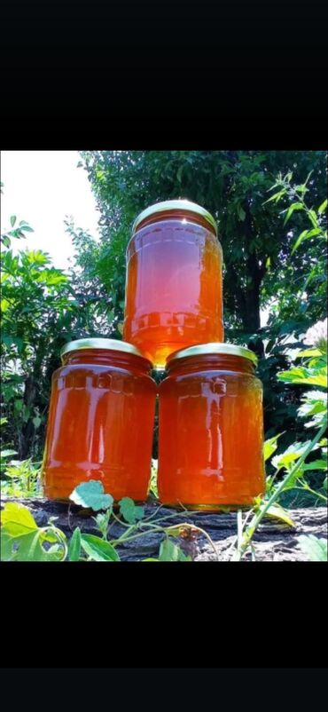 Bal: Arının bütün məhsulları Satışdadı — 3