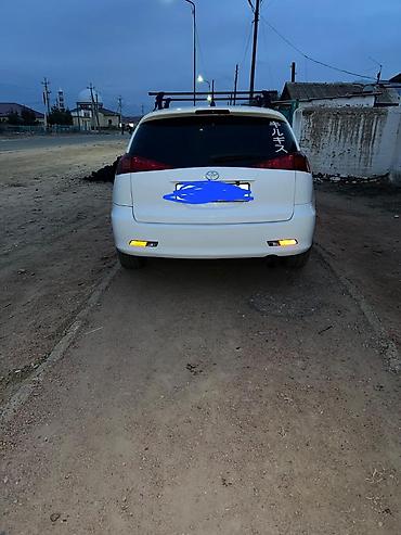 мустанг лошадь цена: Toyota Caldina: 2005 г., 1.8 л, Газ, Универсал — 2