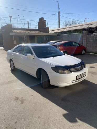 tayota altezza: Toyota Camry: 2002 г., 2.4 л, Автомат, Бензин, Минивэн