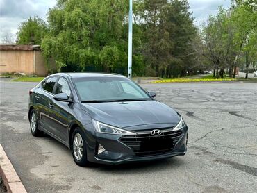солярис 2019: Hyundai Avante: 2019 г., 1.6 л, Автомат, Бензин, Седан