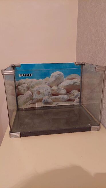 Akvariumlar: Salam cox tecili akvaryum satilir zavod isdesalidir 50 60 litir tutur