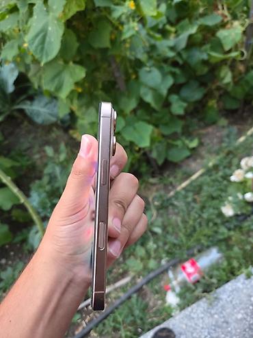 iphone 11 gold: IPhone 16 Pro, 128 GB, Desert Titanium, Face ID — 3