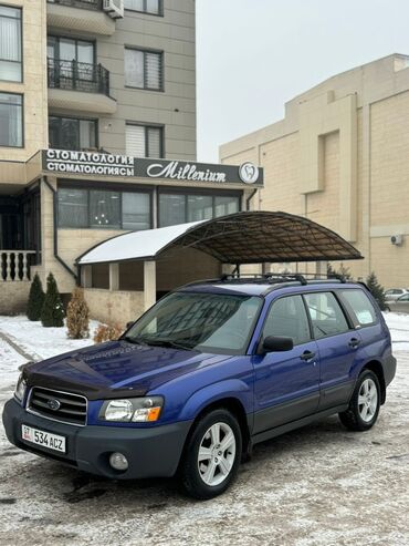 volkswagen golf 2: Subaru Forester: 2004 г., 2.5 л, Автомат, Бензин, Универсал