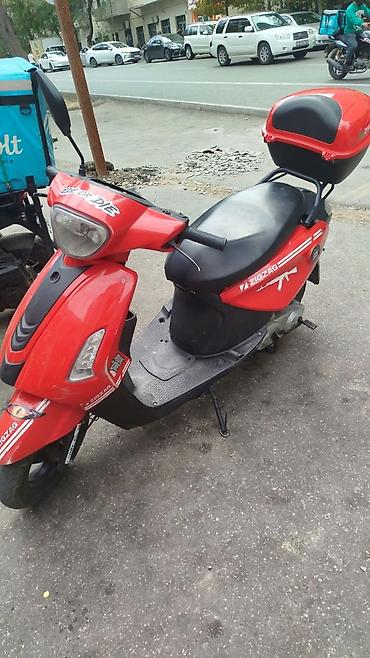 2 el motor fiyatları: Zaza - 295, 50 sm3, 2024 il, 79285 km — 2