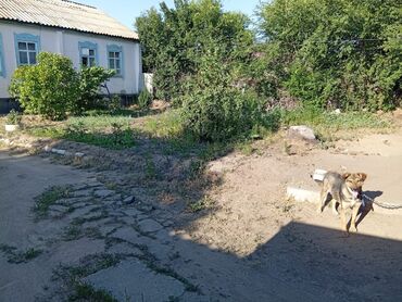 дома в джалал абаде: Дом, 70 м², 3 комнаты, Собственник, Старый ремонт