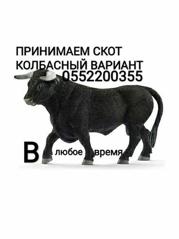 ДОРОГО,в любом виде