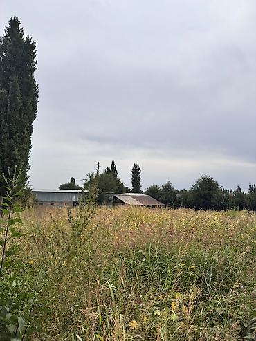 Продажа коттеджей и домов: 🏡 Продаётся дом с хозяйственными постройками в селе Лубяное — 13