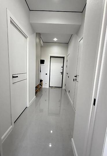 48: 1 комната, 48 м², Пишпек Элитка, 7 этаж — 2