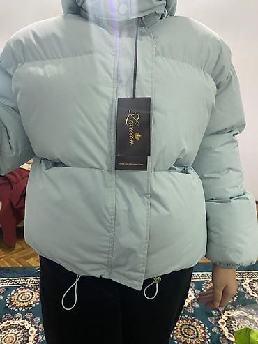 плащ с капюшоном: Пуховик, Короткая модель, Стеганый, M, L, XL — 1