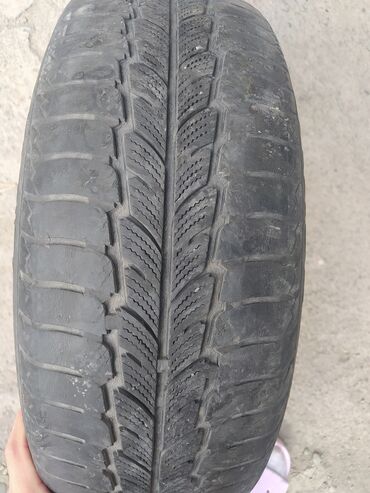 авто шина раз 14: Шиналар R 14, Кыш, 1 даана, Жеңил унаалар, Roadstone
