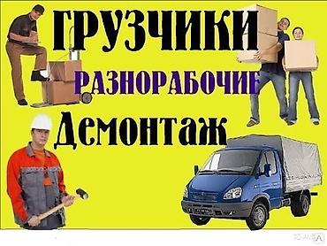 Услуги грузчиков, разнорабочих и демонтажных бригад. -