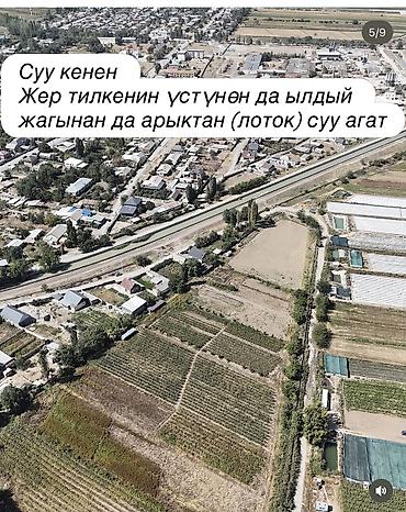 арловка участок: 115 соток, Для бизнеса, Красная книга, Договор купли-продажи — 5