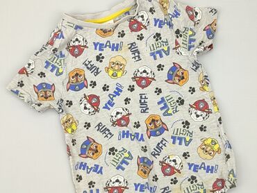 body męskie koszula: T-shirt, Nickelodeon, 5-6 years, 110-116 cm, condition - Good