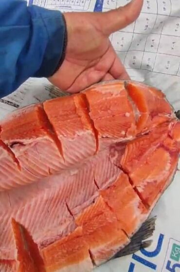 Мясо, рыба, птица: Форель Токтогульская радужная Фото видео отчёт есть Пишите зарание