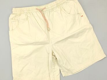 Shorts: Shorts, L (EU 40), condition - Good