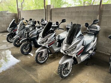 Мотоциклы и мопеды: Сп свежие серые тигрицы в наличии по низким ценам,в рассрочку не