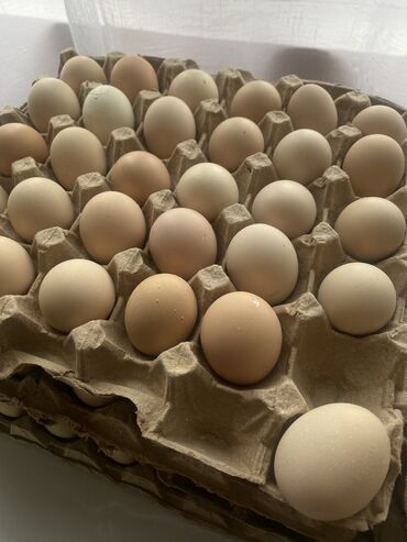 Продукты питания: Продаю горох яйцо