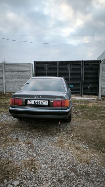 возможен обмен на дом: Audi 100: 1991 г., 2 л, Механика, Газ, Седан
