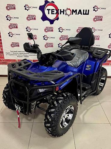 Квадроциклы: Квадроцикл Бензин, 320 куб. см, Взрослый — 9